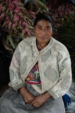 sari schildt