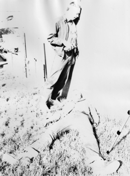 sari schildt