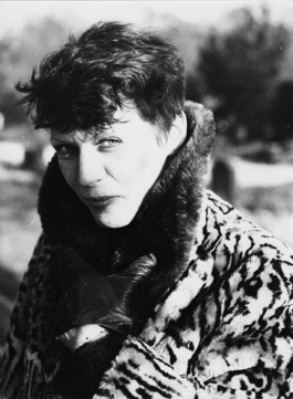 sari schildt