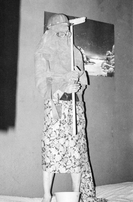 sari schildt