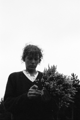 sari schildt