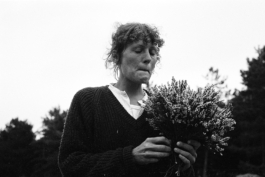 sari schildt