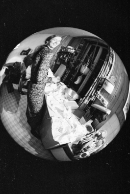 sari schildt