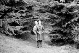 sari schildt
