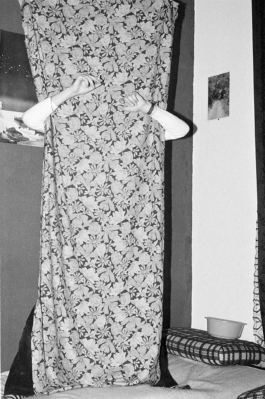 sari schildt