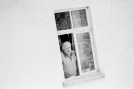 sari schildt