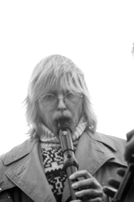 sari schildt